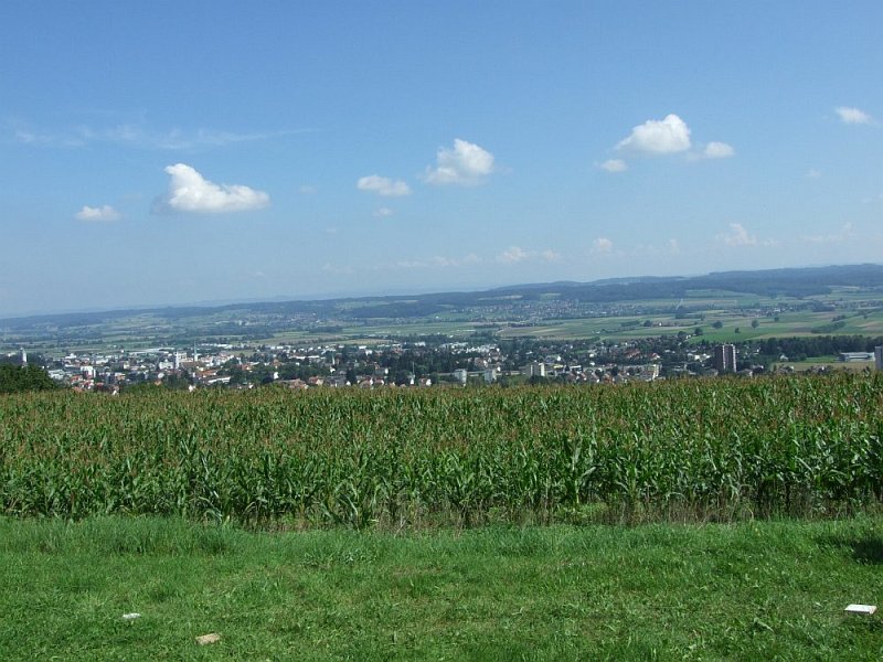 lcs_treffen_2010_36.jpg